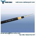 All Dielectric Self Supporting Optical Fiber Cables ADSS Cable