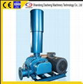 DSR80V High Quality Roots Type Air Blower 1