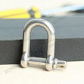 Stainless steel D shackle used for lifting 1