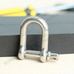 Stainless steel D shackle used for