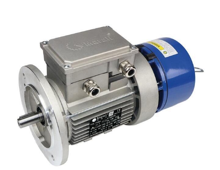 MBF series extra high torque AC brake motor 3