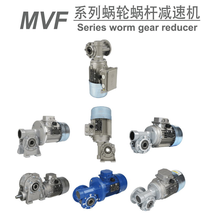 MVF series worm gear reducer 5