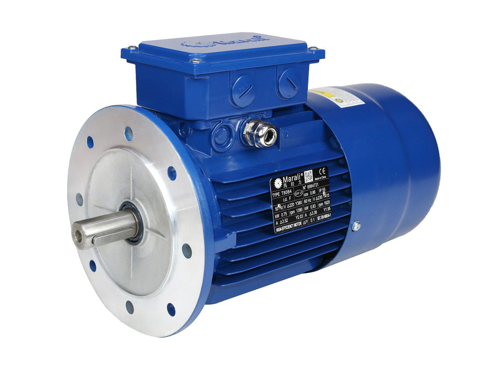 MAF SERIES DC BARKE MOTOR