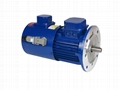 FREQUENCY CONVERTER VELOCITY MODULATION ASYNCHRONOUS MOTOR