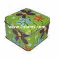 Tam's tin box for food packing