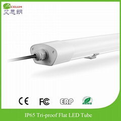 IP65 Tri-proof LED Batten Light