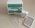 Drug residues test kit Quinolone Rapid Antibiotic Residue Testing in Milk 1