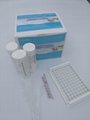milk antibiotics test kit betalactam and tetracycline for  milk products