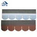 asphalt shingles fish scale