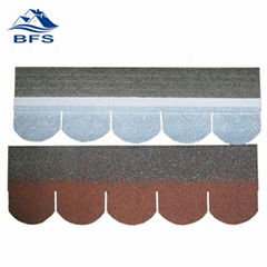 asphalt shingles fish scale