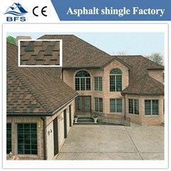 irregular roof shingles