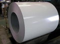 prepainted steel coil 5