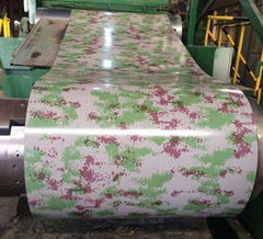 design PPGI,prepainted steel coil