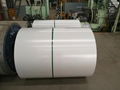 PPGL steel coil