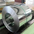 prime high quality GI galvanzied steel coil 5