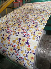 popular new design PPGI,prepainted steel coil