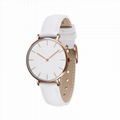 2017 OEM Dw Style Fashion New Stylish Watches with Swiss MOV 1