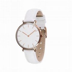 2017 OEM Dw Style Fashion New Stylish Watches with Swiss MOV