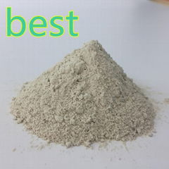 bentonite  clay