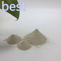 bentonite  clay   2