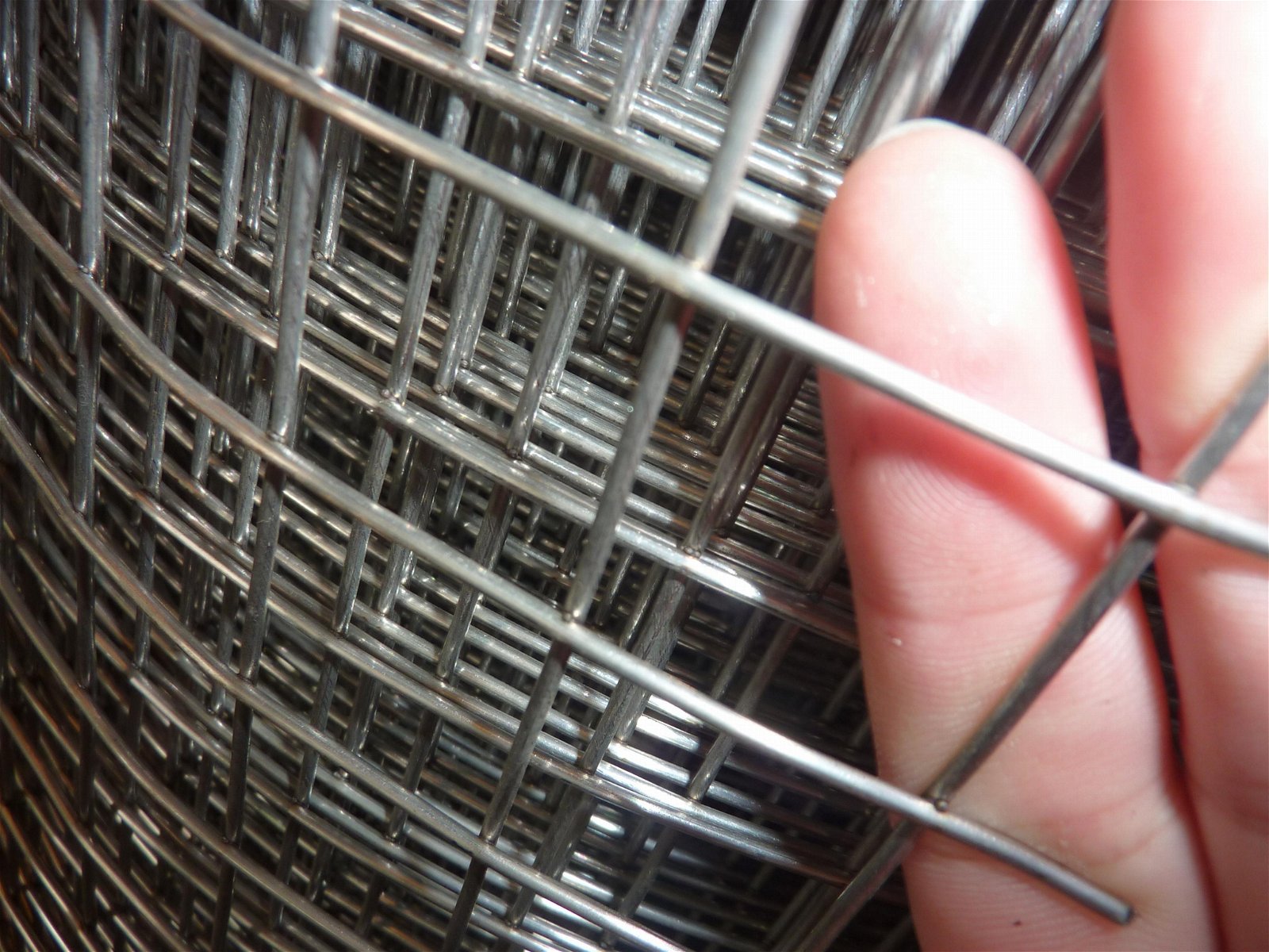 Stainless Stainless Steel Welded Wire Mesh 