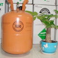 refrigerant gas r290