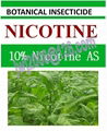 10% Nicotine AS