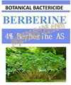 4% Berberine AS