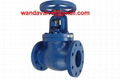 BS Cast Iron Globe Valve 1