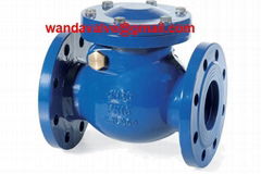 DIN Cast Iron Swing Check Valve