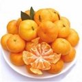Nanfeng Honey Orange