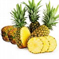 Pineapple 1