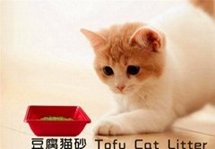 Qingdao Tianshuo Pet Products Co., Ltd.