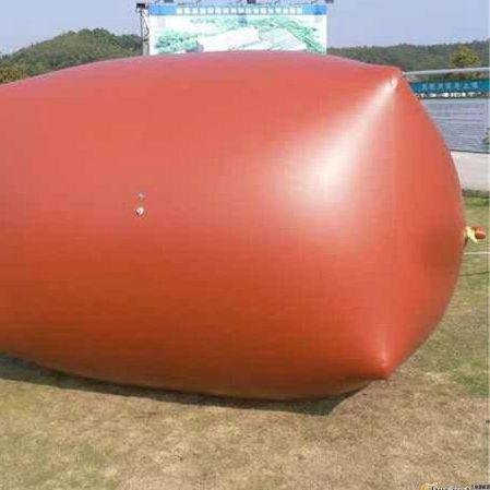China Modern design biogas storage bag 4