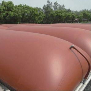 Hot sale renewable and portable biogas plant