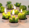 cactus plant candles decoration candle in home 