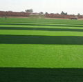 football field artificial turf 1