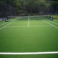 sport tennis field artificial grass