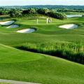 putting green artificial turf