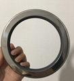 double lip PTFE stainless steel oil seal