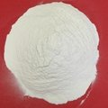 Hydroxypropyl methyl cellulose for the production of a emulsifier agent 5