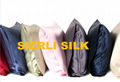 Silk Pillow Case (Muberry Silk 6A)