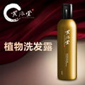 中草藥控油洗發水250ml