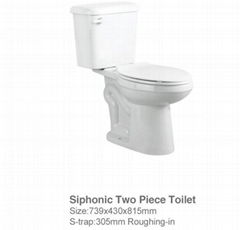 Two-piece toilet