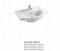 Counter Basin