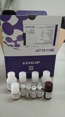 人脂联素受体1(ADIPOR1) ELISA Kit