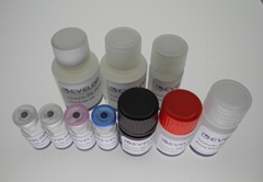 牛白介素17(il17) elisa kit