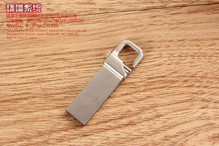 32GB Metallic Keychains Style USB 2.0 Flash Disk 2