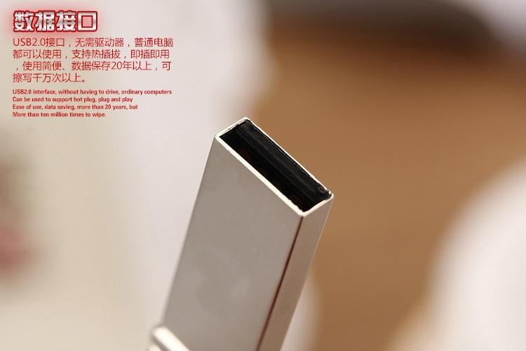 32GB Metallic Keychains Style USB 2.0 Flash Disk 4