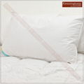 100% Pure Canadian Goose Down Hotel Quality Silk Cotton Cover Luxury Pillows 1